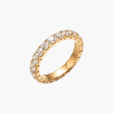 Anillo Amia